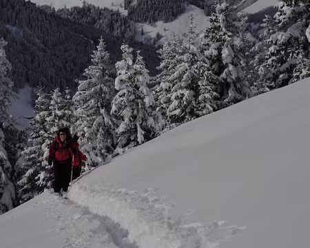 DSC01766 Il y a de la neige, il fait beau, tout va bien