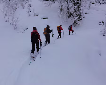 DSC01779 Les participants font la trace