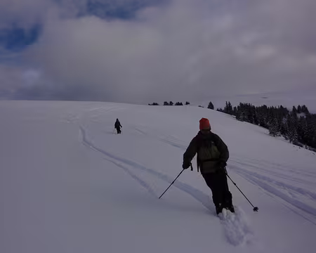 DSC01815 On doit rentrer!