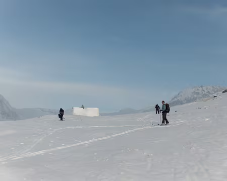 PXL008 contrôle des DVAs