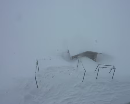 PXL015 Dimanche, même les choucas ont fui le mauvais temps...