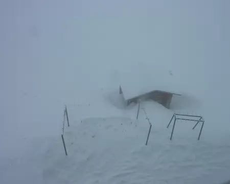 PXL015 Dimanche, même les choucas ont fui le mauvais temps...