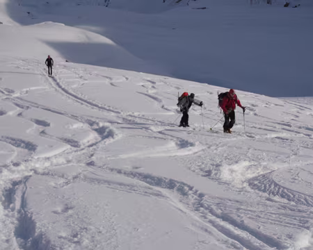 DSC02095 Une bonne trace, on n'est pas tout seuls