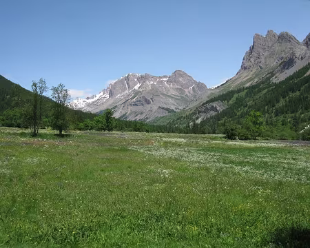 2013-06-25_43 Prairies en fleur au Casset