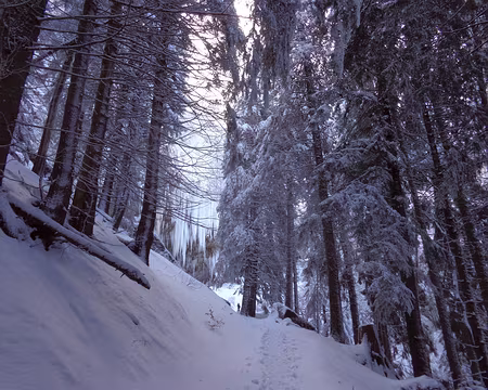 PXL021 Montée vers la Grande Cascade et en direction du Puy de l'Angle le dimanche