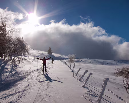 PXL029 Il est temps de rentrer...et c'est le moment que choisit le soleil pour paraitre enfin