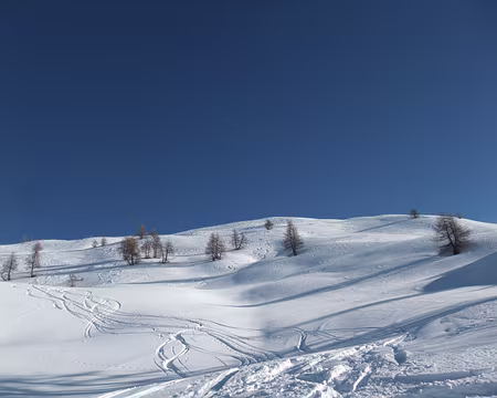 montée à l'Eypiol, la sortie du mélézin