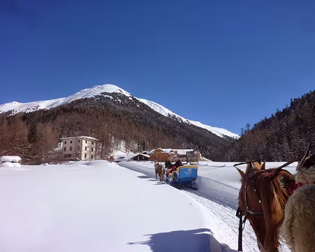 P1040424 arrivée à S-Charl