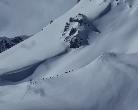 P1040450 un troupeau