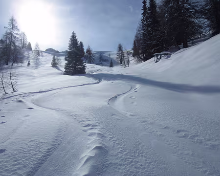 PXL037 J3: vers Medergen