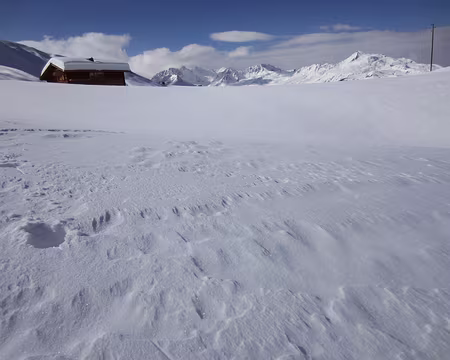 PXL041 J3: vers Medergen