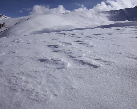 PXL042 J3: vers Medergen