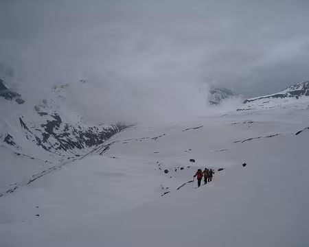 137 Montée vers la Grande Traversière, par le glacier de Bassac