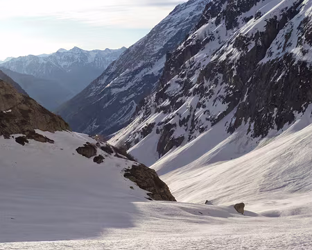 PXL010 Moquette à poils ras