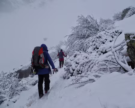 PXL019 Sur le fameux chemin désormais sécurisé