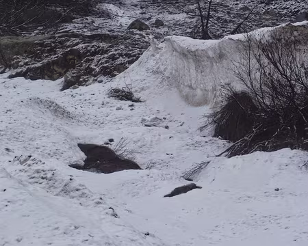 PXL024 Ratrac ou dame nature?