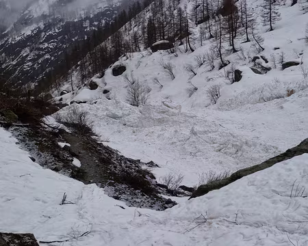 PXL026 Et c'est une année peu enneigée!