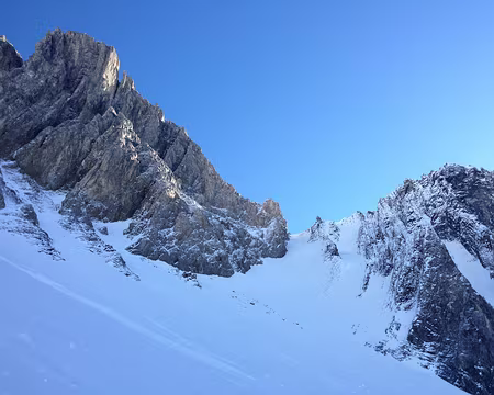 Photo 22-04-2014 08 44 36 Dent Parrachée