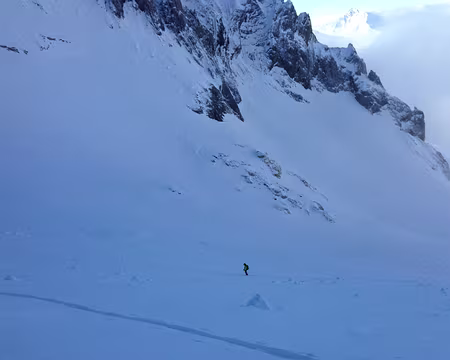 Photo 22-04-2014 08 44 47 Dent Parrachée