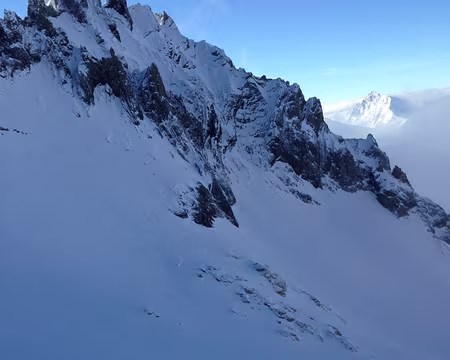 Photo 22-04-2014 08 45 01 Dent Parrachée