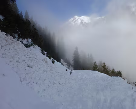 P1100125 Coulée de fonte en janvier … hum hum