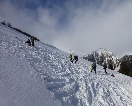 P1100175 Situation complexe 1 : coordination