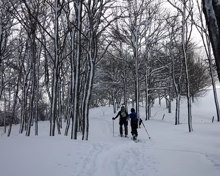 2015-02-08_04 Montée vers le Soum de Hailla