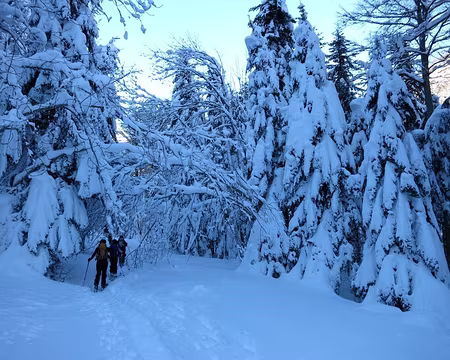 2015-02-10_02 Sur la route forestière du Hourc