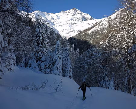 2015-02-10_05 Sur la route forestière du Hourc, face E du Pic de Montaigu