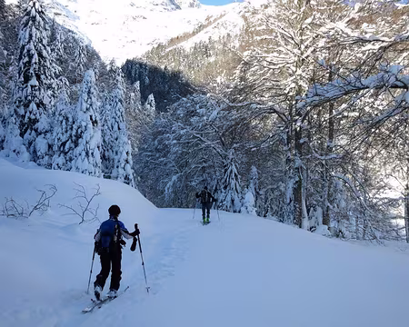 2015-02-10_06 Sur la route forestière du Hourc