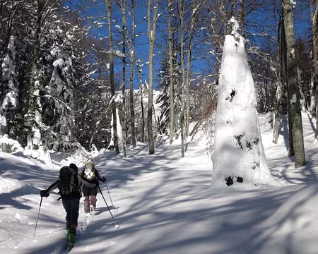 2015-02-10_07 Dans le vallon de Tos