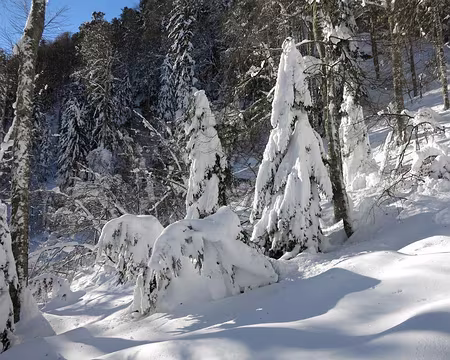 2015-02-10_09 Dans le vallon de Tos