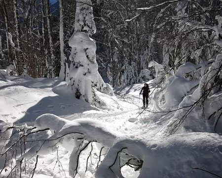 2015-02-10_10 Dans le vallon de Tos.