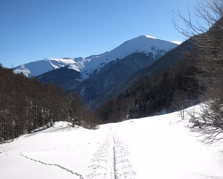 2015-02-10_12 Dans le vallon de Tos