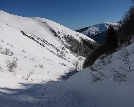 2015-02-10_14 Dans le vallon de Tos
