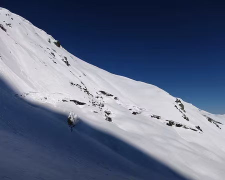 2015-02-10_17 Belles reptations...