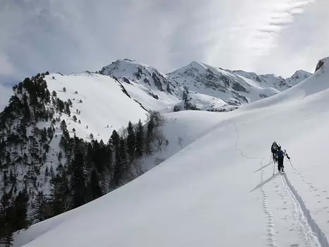 2015_02_11-PeneDetPouri