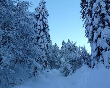 2015-02-11_01 Départ du Chiroulet le long de l'Adour de l'Esponne