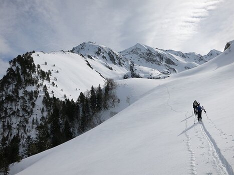 2015_02_11-PeneDetPouri