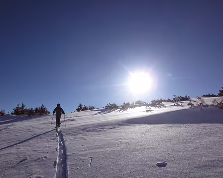 PXL000 Gamser Rugg flanc Est