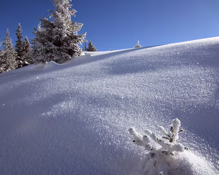 PXL009 Descente vers Voralpsee