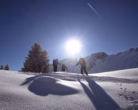 PXL010 Descente vers Voralpsee