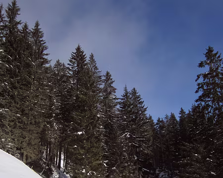 PXL016 Entre Voralpsee et Lidmäl