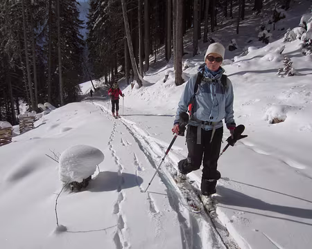 PXL018 Entre Voralpsee et Lidmäl