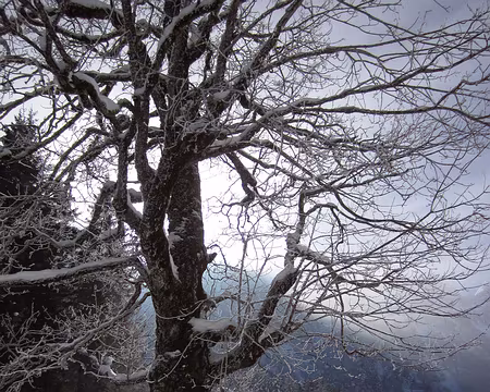 PXL019 Entre Voralpsee et Lidmäl