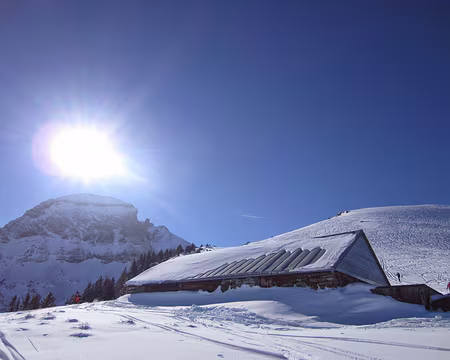 PXL020 Montée vers col sous Margelchopf