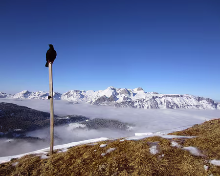 PXL025 Au col sous Margelchopf