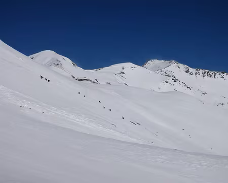 2015-03-06_07 Chamois dans la traversée vers le Pic du Malrif
