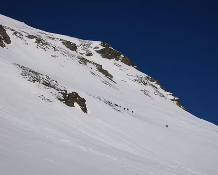 2015-03-06_08 Chamois dans la traversée vers le Pic du Malrif