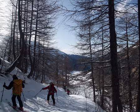 descente sur le GR5 vers la Gurraz la descente du GR5 en dérapage